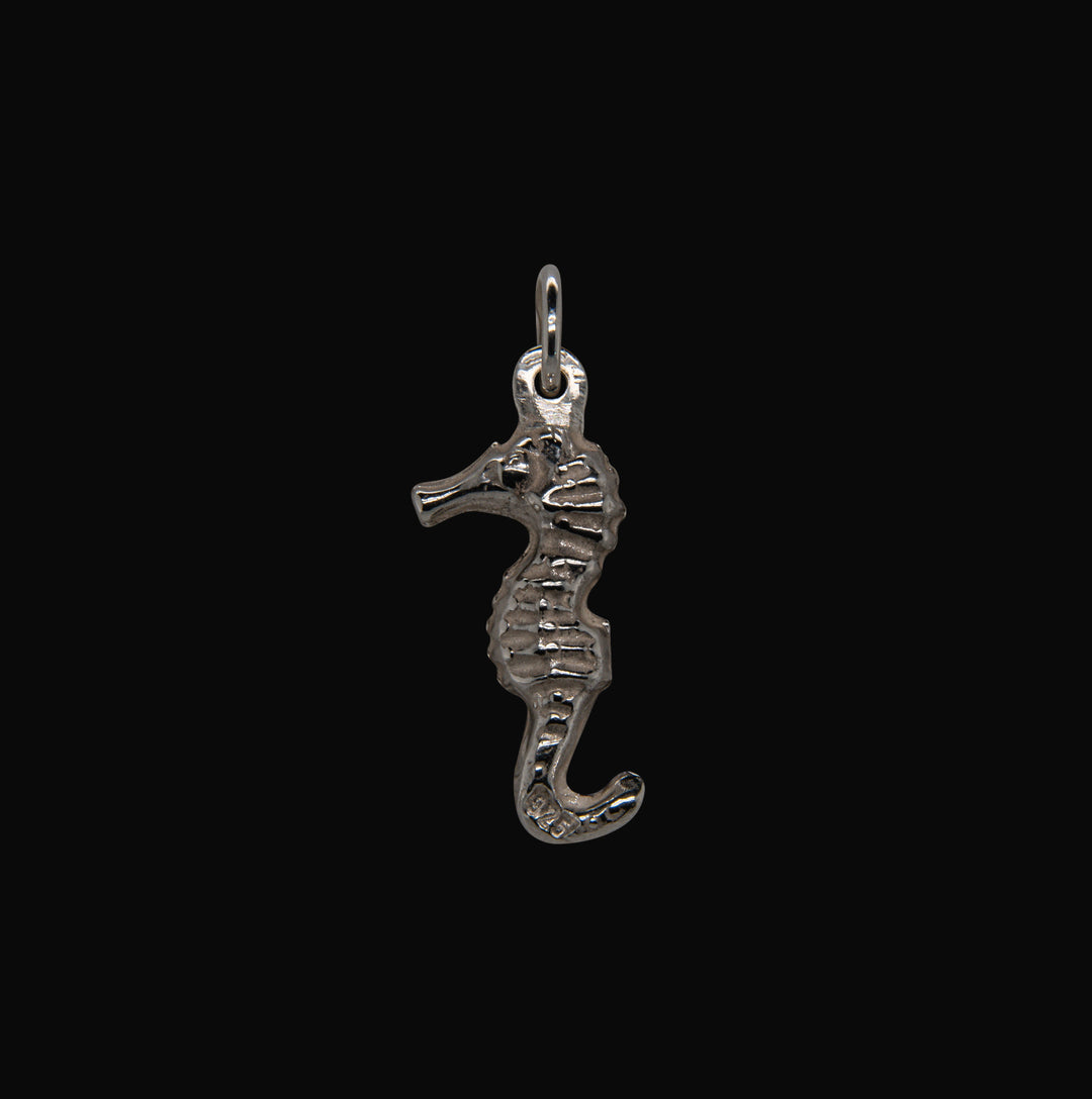 CABALLO DE MAR ANHÄNGER